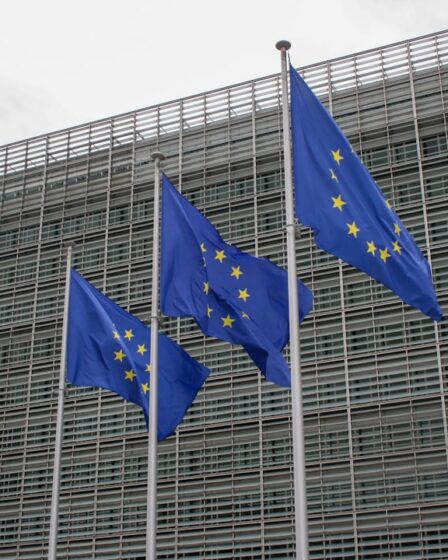 Photo EU flag