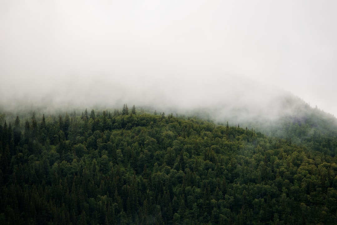 Photo environmental sustainability